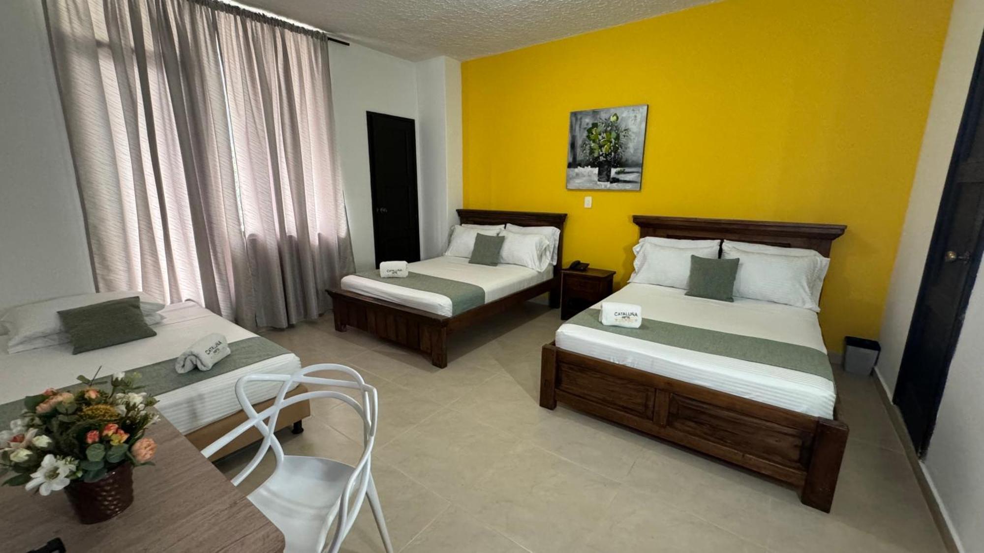 Hotel Cataluna - Soluciones Hoteleras 佩雷拉 外观 照片